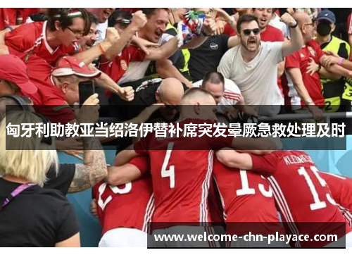 匈牙利助教亚当绍洛伊替补席突发晕厥急救处理及时 匈牙利助教亚当绍洛伊替补席突发晕厥急救处理及时